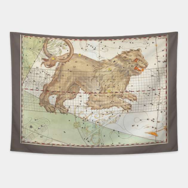 Leo the Lion Astrological Sign Tapestry by mike11209