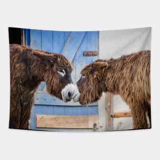 Donkey Kiss / Swiss Artwork Photography Tapestry