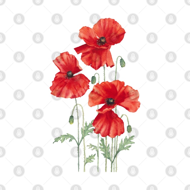 Red poppies watercolor art. by InnaPatiutko
