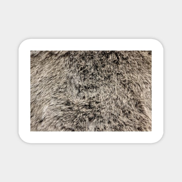 Faux Fur Texture Magnet by pinkal