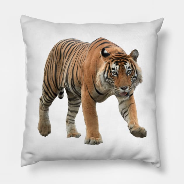 Bengal Tiger Pillow by Endangered Animals