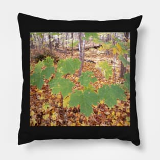 Autumn leaf Pillow