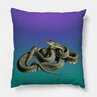 Blue grandient background of a vintage illustration of a snake Pillow