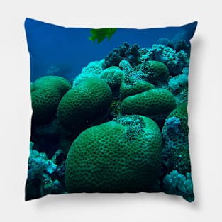 Red Sea Coral Reef Pillow