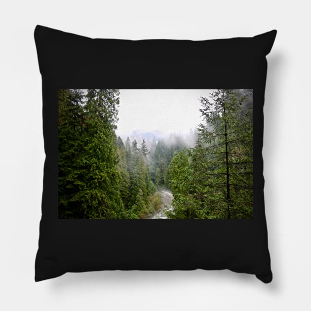 Coastal BC Woods. Pillow by somekindofguru