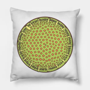 Diatom - Thalassiosira (color, artwork) Pillow