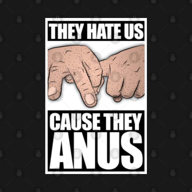They hate us cause they anus James Franco Long Sleeve TShirt TeePublic