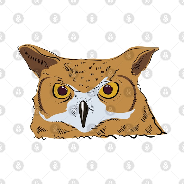 Angry owl by Catdog