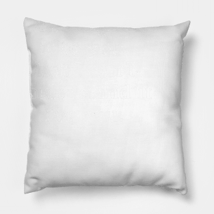 I Can Explain It To You Pillow