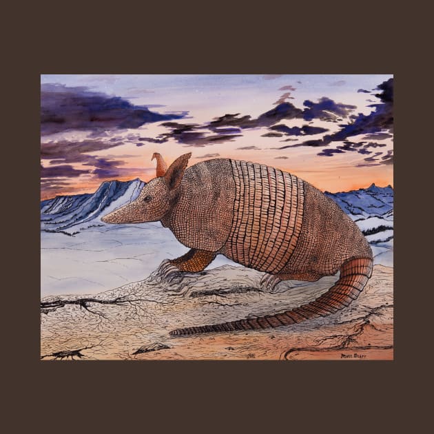 Armadillo Sunset by Matt Starr Fine Art