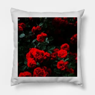 Rose - aesthetic box art Pillow