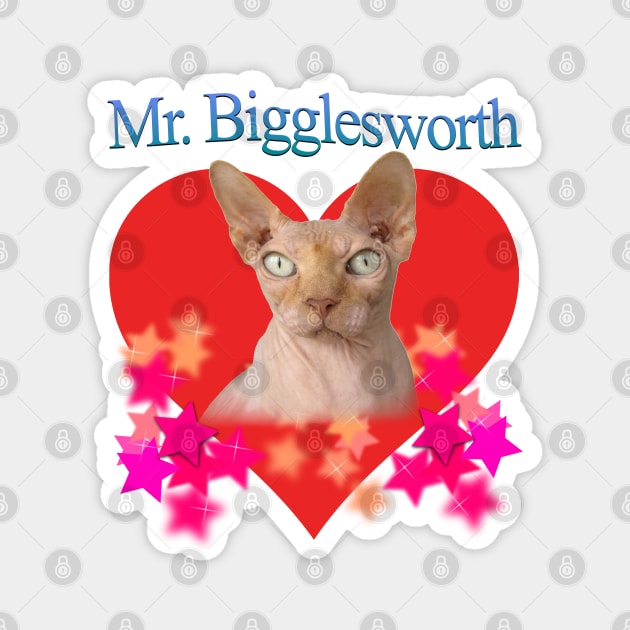Mr. Bigglesworth (Dr Evils Cat) Tribute Magnet by blueversion