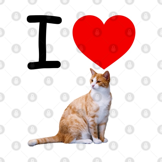 I HEART CREAMSICLE TABBY CATS by EmoteYourself