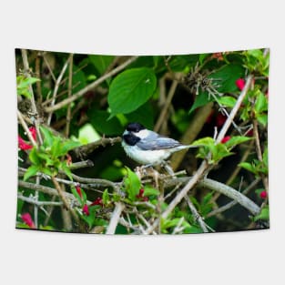 Black-capped Chickadee Hiding In A Bush Tapestry