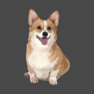 Cute corgi doggy T-Shirt