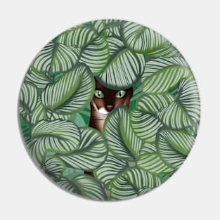 Bengal cat and Calathea orbifolia Pin