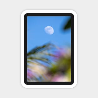 Day Moon with Palm Trees in Foreground Magnet