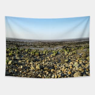 Low Tide Clay Beach Tapestry