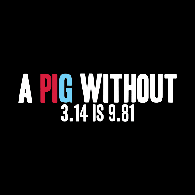 Math Physics - A PIG Without 3.14 Is 9.81 by LetsBeginDesigns