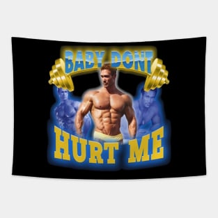 Mike O'Hearn Baby Don't Hurt Me Tapestry