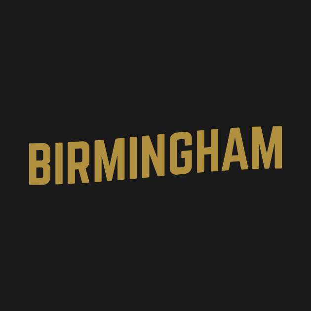 Birmingham City Typography by calebfaires