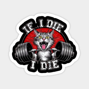 If i Die , i Die Magnet