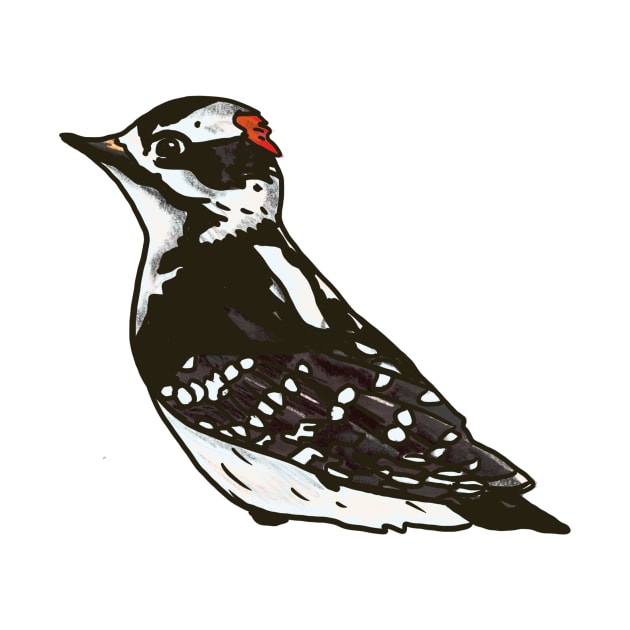 Downy Woodpecker by shehitsback