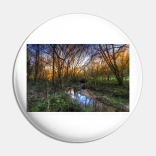 Winter Stream Pin