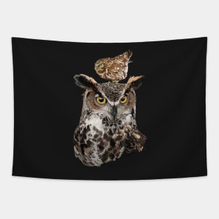 Owls Tapestry