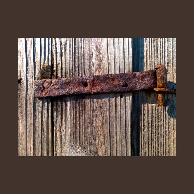 Old rusty hinge by Gaspar Avila