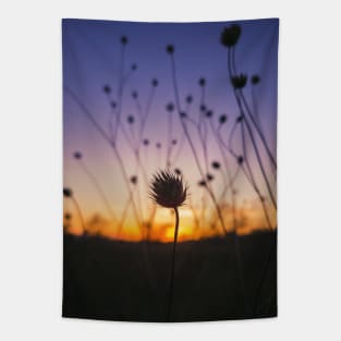 dry scabious Tapestry