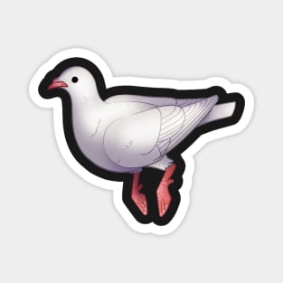 Cozy Dove Magnet