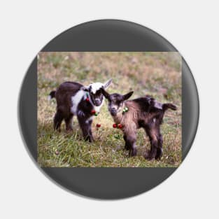 Festive Cute Baby Goats Pin