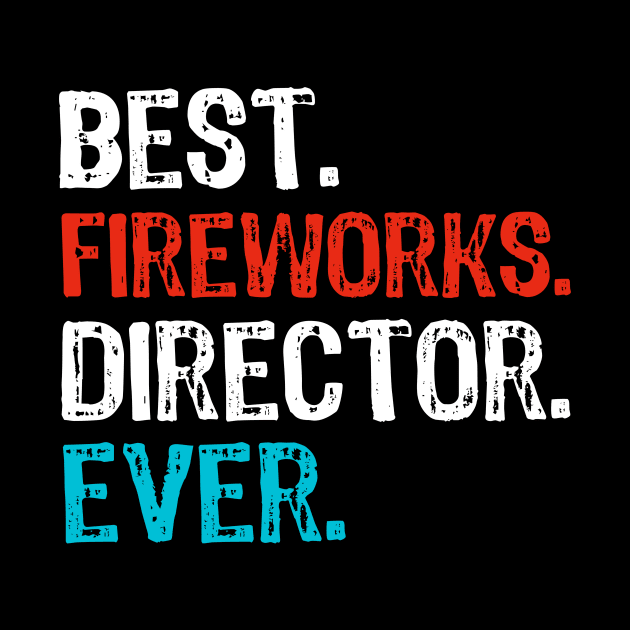 Best Fireworks Director Ever 4th of July by Yasna