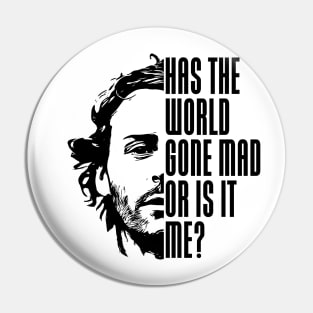 Has the world gone mad Pin