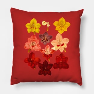 Mother's rose Pillow