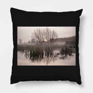 Water Meadow Mist Pillow