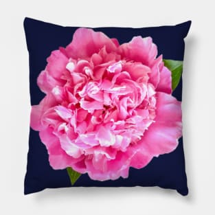 Pink Peony Close-up with Leaves Pillow