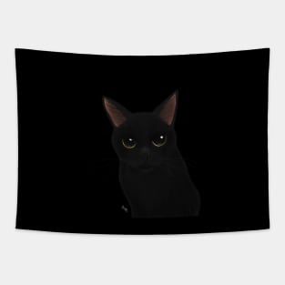 Black cat in black Tapestry