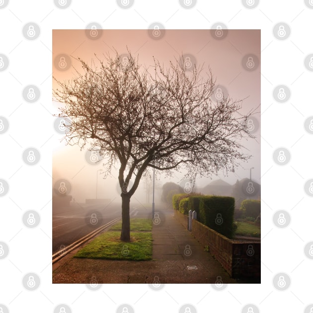 Misty Morning in Birchington by GeoffCarpenter