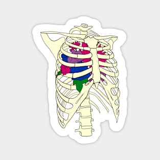 In My Bones - Alt Design - Bi Magnet