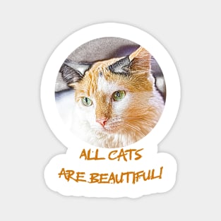 all cats are beautiful Magnet