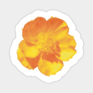 Golden Buttercup Flower Magnet