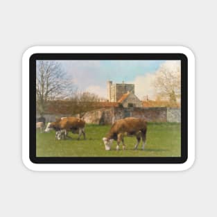 Cows and Calves by St Cross Magnet