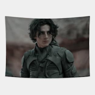 timothée chalamet Tapestry