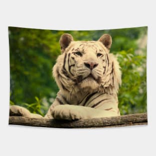 White Tiger (Warm) Tapestry