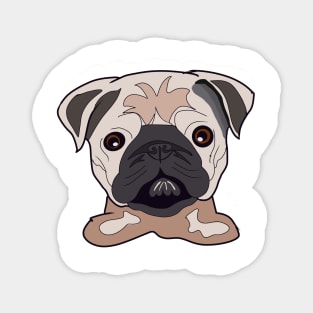 Cute baby pug face Magnet