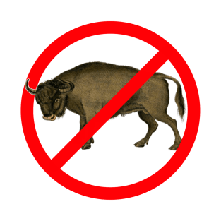 No Bull T-Shirt