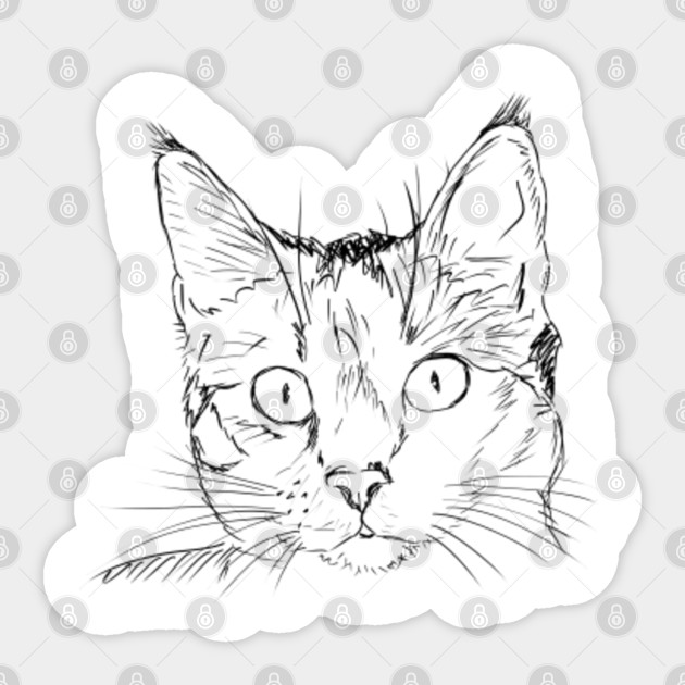 Cute Cat Sketch Design Cat Drawing Sticker Teepublic