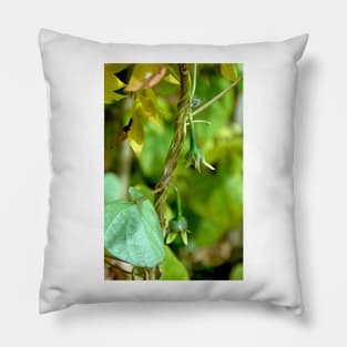 Budding Morning Glories Pillow